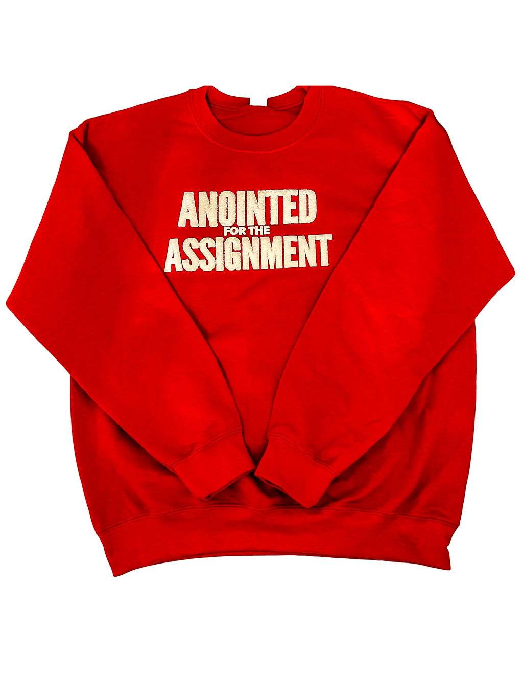 ANOINTED for the ASSIGNMENT (UNISEX)