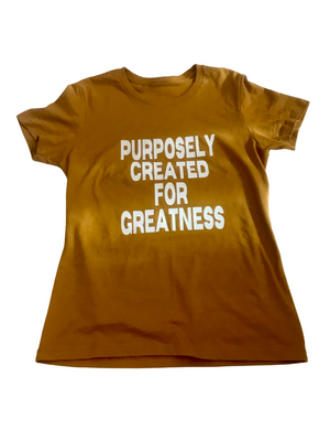 PURPOSELY CREAED FOR GREATNESS - Women's Fitted Tee